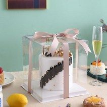 2단 케이크 투명 선물 포장 박스 상자 케이스 5개 1세트 미니 1호 2호 3호, B + 10인치 2단 30x30x25