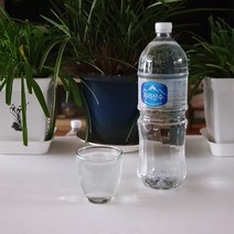 2L 500ml 천연 알카리수 미네랄워터 생수 먹는샘물 천연암반수 물, 지리산수 2L x 30병 : 1박스
