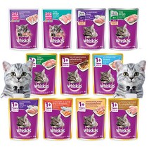 위스카스 고양이 습식사료 85g 파우치 상품별, 시니어 고등어