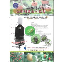 노린재 트랩, 노린재페르몬