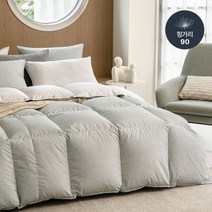 [파르페 바이 알레르망] [파르페by알레르망] 네프 알러지케어 헝가리90 구스 차렵이불 S, 선택:선택