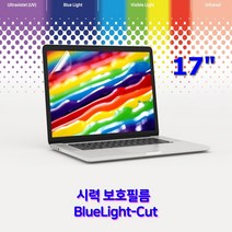 블루라이트컷 LG 2020 울트라기어 17U70N-PA50K용 보급형 시력보호필름 17인치, 1개
