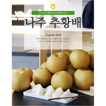 [나주시농산물유통센터] 나주 추황배 가정용 3kg 5kg, [묶음] 나주 가정용 추황배  5kg 2박스, 2개