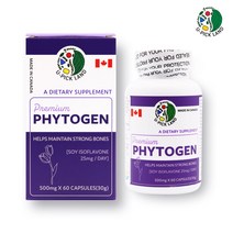 파이토젠 대두 이소플라본 식물성 뼈건강 여성영양제 연어콜라겐 당귀, 2통, 500mg x 60캡슐