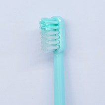 라이온 교정칫솔 모음전(당일발송 치과판매상품 R U T P타입 오소돈틱), 10개, R타입