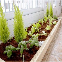 조립식 텃밭화분 베란다 옥상, 53 세로판 1단 (원목)