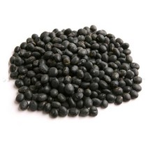 과학학습 검은콩(500g) 3학년