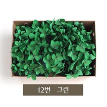 화연양화 블루밍수국 박스수국 컬러최다 30색! 프리저브드플라워, 12 그린