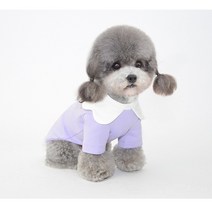 남달리마켓 웨이브카라 코튼 캔디 티셔츠 반려동물 봄 여름 가을 겨울 강아지옷 포인트 실내복 예쁜 원피스 애견 애묘 댕댕이, 라벤더