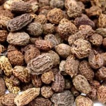 말린 다래열매 미후도 국산 말린 키위열매 600g, 국산 600g