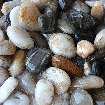 우화석 밤알크기 3kg-어항 수족관 열대어 바닥재 자갈/헬로아쿠아, 1개