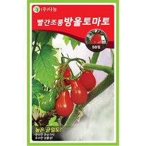 레드문 딸기 100립 - 씨 씨앗 고급 빨간 딸기씨앗 딸기씨 식용 관상용 채소씨 채소씨앗, 13_다농_빨간 조롱방울토마토(50립)