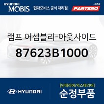 사이드미러(빽미러) 램프 등 우측 (87623B1000) 제네시스 제네시스 G80
