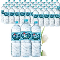 백산수 생수 2L 48개 먹는샘물 백두산물 농심 가정용 요리용 미네랄워터, 상세페이지 참조, 상세페이지 참조