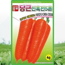 솔림텃밭몰 당근씨앗 4g 신흑전5촌 당근종자 5촌당근 다수확품종, 1개