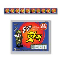 충성 포켓용 핫팩 중형 100g, 10개