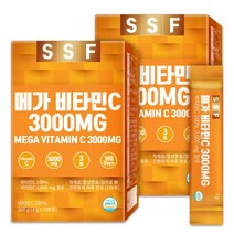 순수식품 비타민씨 100프로 3000 비타민C 2박스 분말 스틱 파우더, 3g, 200개