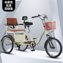 성인자전거 세발 어른 삼륜 3발 Wyj 페달 자전거 인간 더블 가변, 10.2