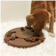 니나오토슨 도그 워커 강아지 IQ 장난감 지름 35cm x 높이 5.1cm, 10개