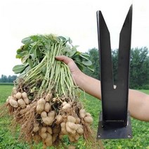 땅콩탈곡기 땅콩따기 탈피기 곡식 타작기 수동 농기구, 1팩, 1개