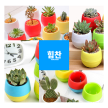 힘찬쇼핑_ 실내 식물 키우기용 미니 플라스틱 화분 소형 _ 물받침 분리 구조 분갈이 물처리 화분관리 용이, 레드
