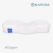 [가누다] 블루라벨 알레그로 단품 / 메모리폼 경추 기능성 베개