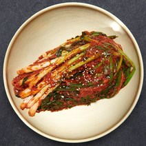 김권태 김치 옥과 맛있는 전라도 파김치 1kg 국내산 100% 재료, 김권태 전라도 파김치 1kg