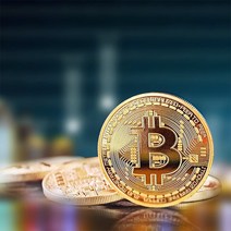 지폐모형 동전모형 모형동전지폐 bitcoin art collection gold plated physical bitcoins bit banknote metal 골동 모방 btc, 비트코인 11