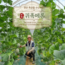 K-귀족과일 천안 수신메론 6kg MELON 산지직송, 쿠팡 1