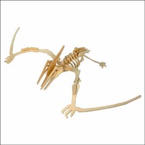 일음쇼핑^^m3D 입체 나무 공룡 프테라노돈 만들기 학습용 공부 실험교구 과학 교육용 DIY일medi^^, ab^^선택없는