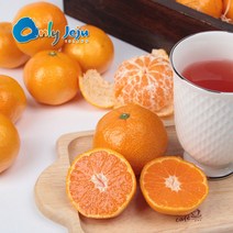 제주 노지 감귤 실중량 9kg, 귤9kg(2S-2L/랜덤)