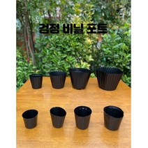 비닐포트 묶음판매) 분갈이 모종 육묘 화분 플라스틱화분, 5.5(15cm) 200개 52000원