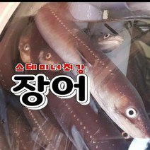 요리하는 아들 국내 자연산 아나고회(붕장어회) 400g 당일손질(소스 콩가루 야채 증정)