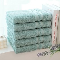 쉬라즈 더블보더 40수 170g 호텔수건, 5장, 코랄민트