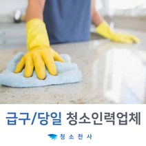 수도권청소업체 빠른청소 급구청소 당일청소알바 당일청소파출 당일청소아줌마 당일청소이모 당일청소아주머니 당일청소도우미 당일청소상담 당일청소문의