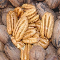 피칸나무(서양호두)/접목2년생/묘목/b0384