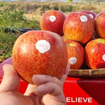 고당도 예산 엔비사과 1kg+1kg (500g 추가 덤) 소과 12-14과 내, 단품