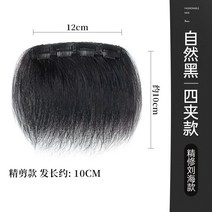 포니테일 앞머리가발 정수리 여성 모자 가발 망 남성 M자 헤어라인 앞머리 조각 원피스 이마, 없음, 19. 포카드 헤어라인 블랙 파인트림 모델 약 10cm