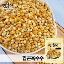 2021년 맛봉달 팝콘 옥수수 옥수수알 생옥수수 미국산, 1개, 500g
