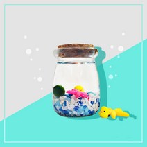 제이피샵 마리모 키우기 세트 어항 수경재배 식물, 1개