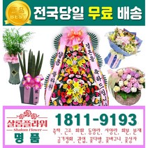전국꽃배달서비스추천 와이프생일선물 생일축하꽃배달 생일꽃배달서비스 꽃퀵배송 개업식화분종류 탄생화선물 여름꽃 가을꽃 생화구매 생화판매 생화주문 파란장미 생화택배 향기뿜뿜, 1.축하3단