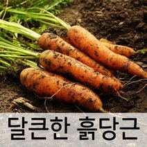 비타민 A의 황제~ 달큰한~ 못난이 흙당근 3kg
