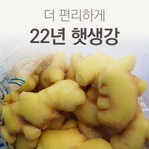 (특품) 국산 22년 햇 깐생강 손질 세척생강 1kg / 500g, 세척생강 일반 1kg