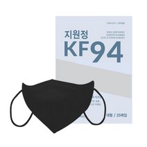 지원정 여름 KF94 황사방역 새부리형 마스크, 대형 블랙KF94_100매(25매입X4)