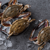 서해 활 급냉 숫꽃게 3kg(15~18미) 꼭 먹어야할 제철음식 산지직송, 6kg(30~36미)