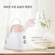 스팀기 헤어스팀기 얼굴스팀기 페이스 스티머 가정용, KD2331A 업그레이드 버전(열 스프레이 전용)