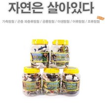 어린이집 교육용 미니어쳐 곤충 동물 공룡 모형 세트 피규어 교구 완구 시리즈 교재용 유치원 모래 치료 곤충 포유류 파충류 야생 어류 조류, 옵션선택, 조류탐험