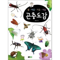 봄 여름 가을 겨울 곤충도감, 진선아이