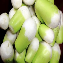 야채삼촌 맛있는 제주 월동무 세척무 5KG 10KG, 무 5kg, 1개