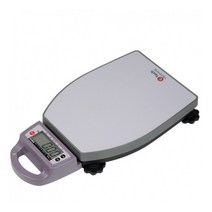 지테크 이동형 고중량 전자저울 GL-6000S 20kg~200kg 산업 검수 한약재료 화물, 60kg